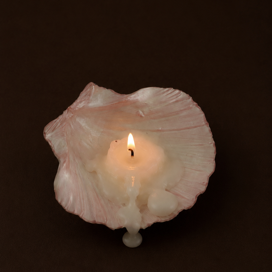 Seashell Jewelry Dish