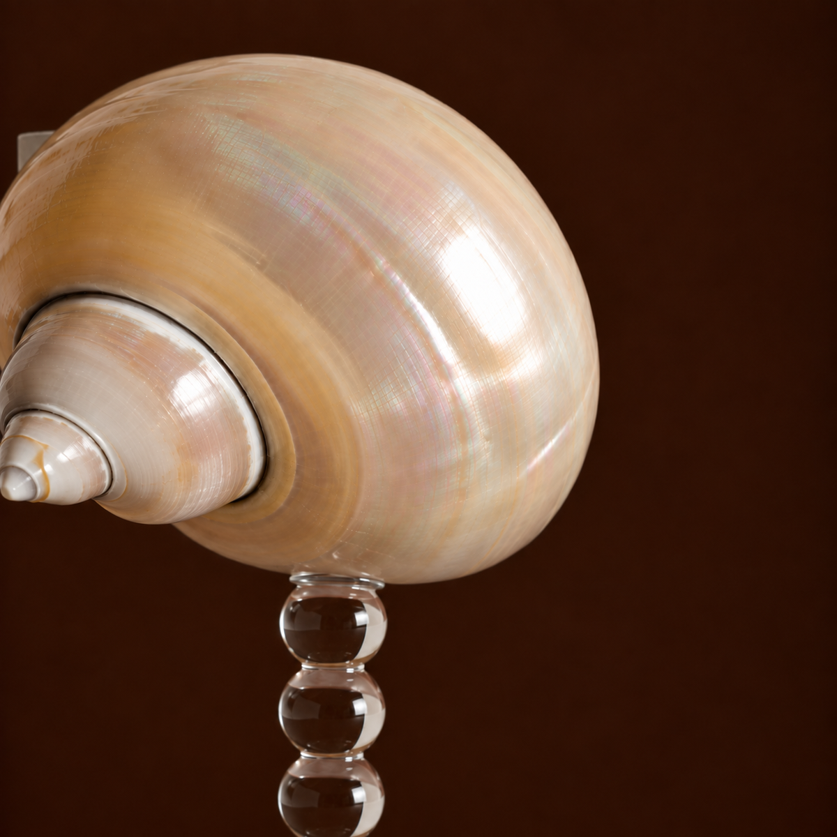 Seashell Bubble Stem Glass