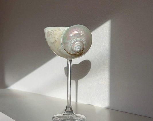 Handcrafted Seashell Cocktail Glasses