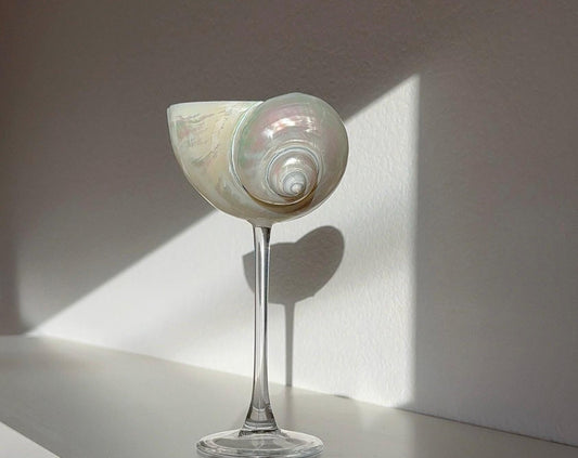 Handcrafted Seashell Cocktail Glasses