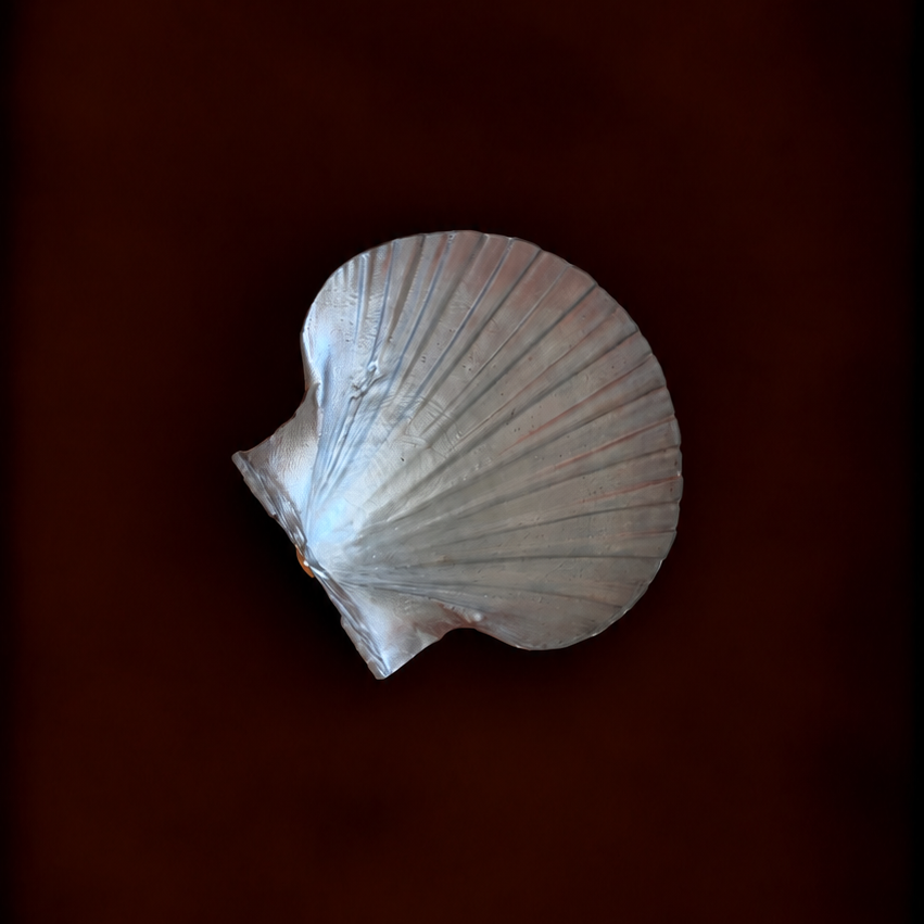 Seashell Jewelry Dish