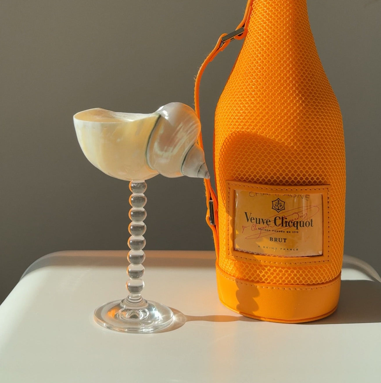 Turbo Shell Decorative Vessel