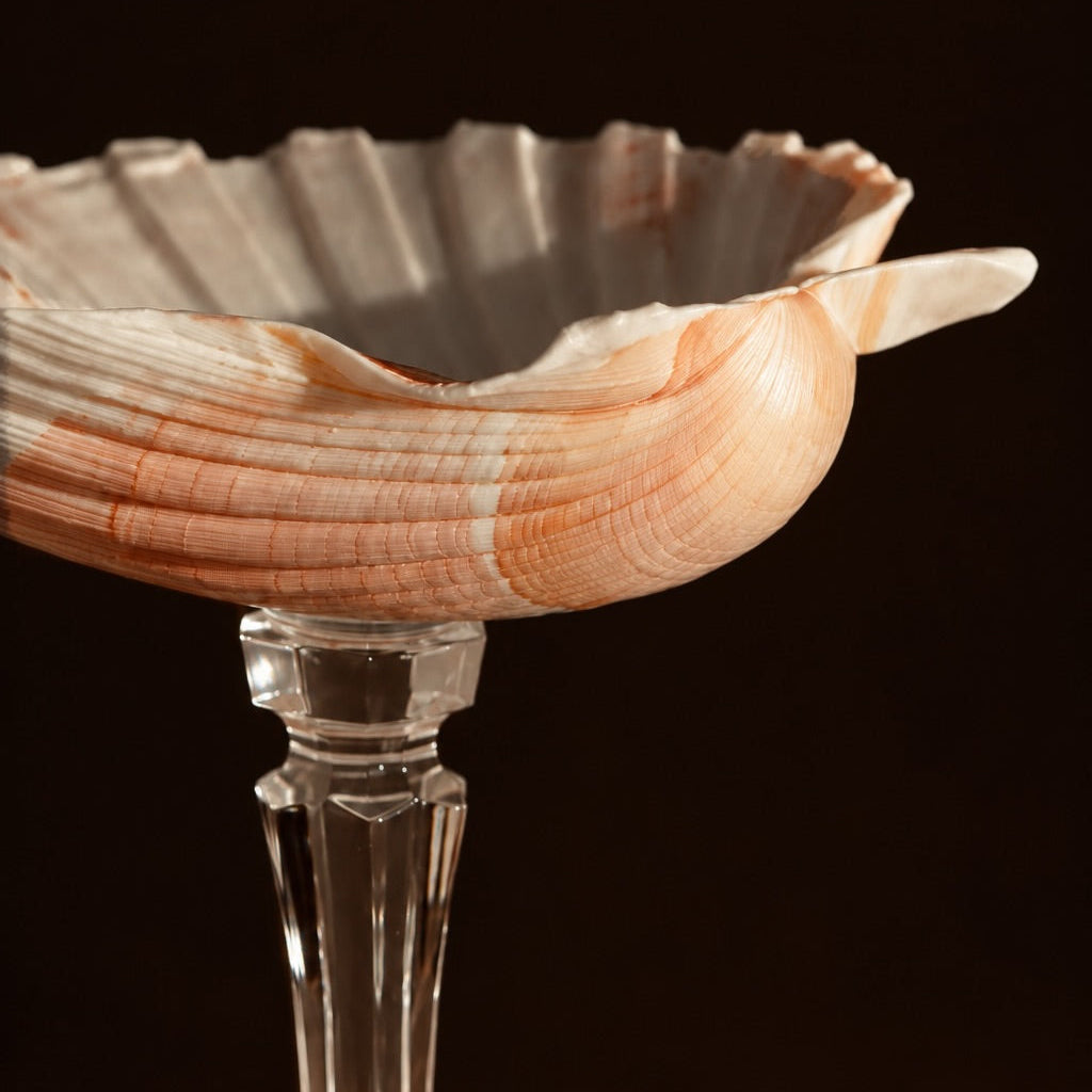 Crystal Stem Scallop Shell Dish