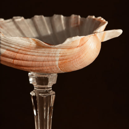 Crystal Stem Scallop Shell Dish