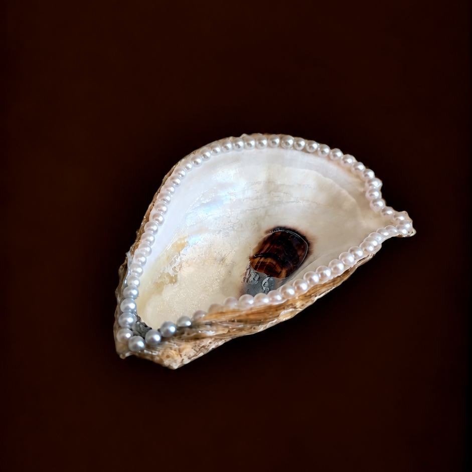 Pearl Oyster Shell Ring Holder