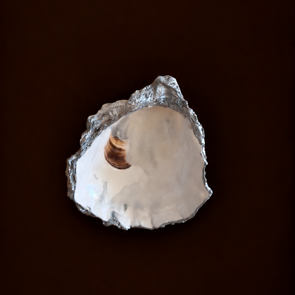 Oyster Shell Trinket Tray