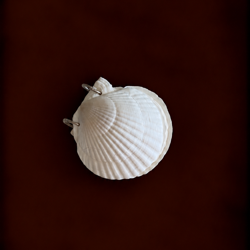 Scallop Shell Notebook Journal