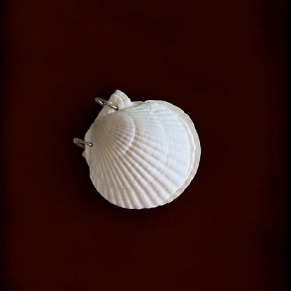 Scallop Shell Notebook Journal
