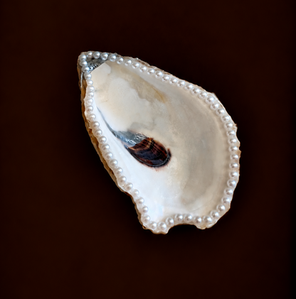 Pearl Oyster Shell Ring Holder