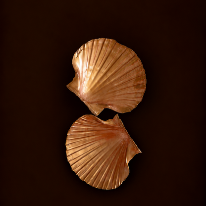 Seashell Jewelry Dish