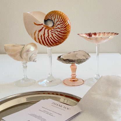 Seashell Wine Glass with Crystal Stem
