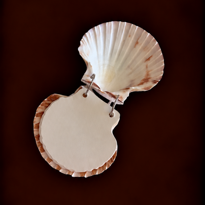 Scallop Shell Notebook Journal