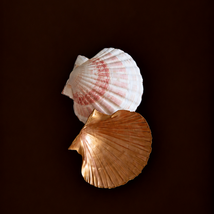 Seashell Jewelry Dish