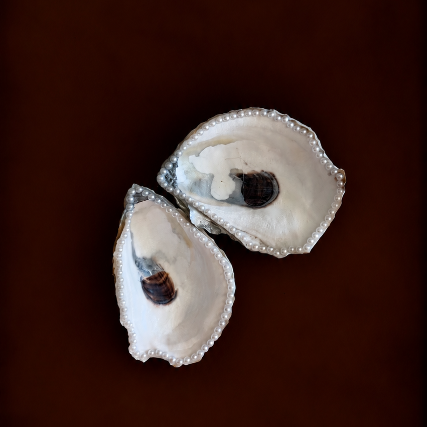 Pearl Oyster Shell Ring Holder