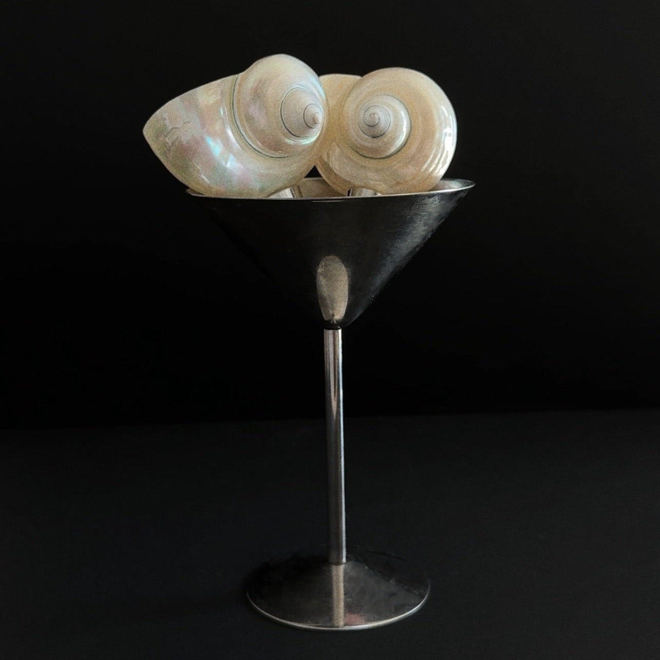 Seashell Bottle Stopper Set of 2