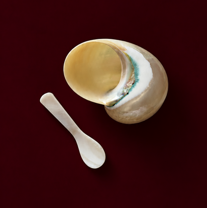 Seashell Sugar Bowl with Spoon