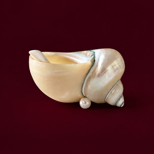 Seashell Sugar Bowl with Spoon