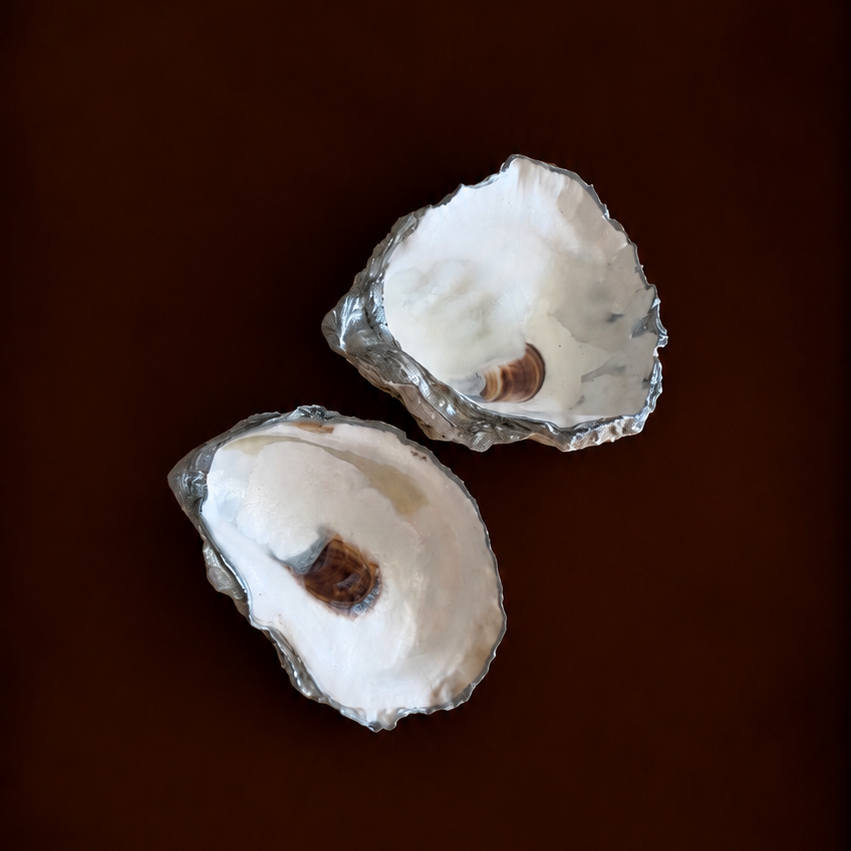 Oyster Shell Trinket Tray