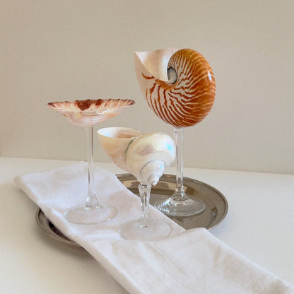 Seashell Wine Glass with Crystal Stem