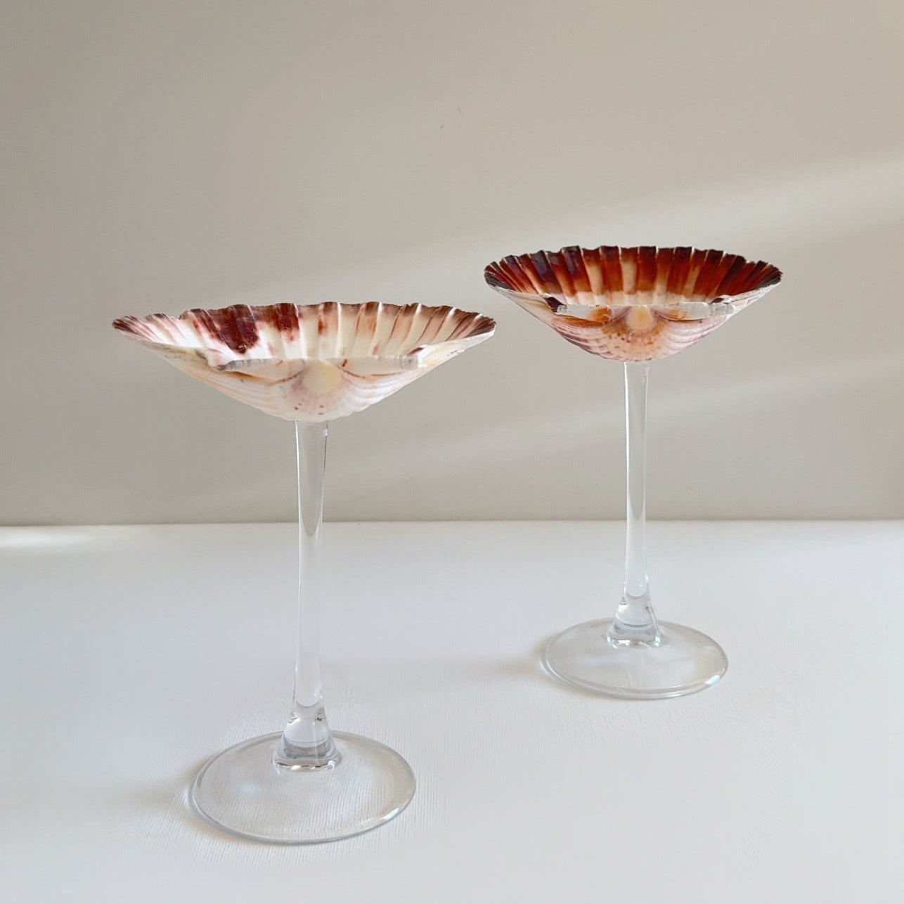 Martini Seashell Glasses