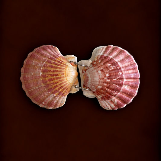 Scallop Shell Notebook Journal