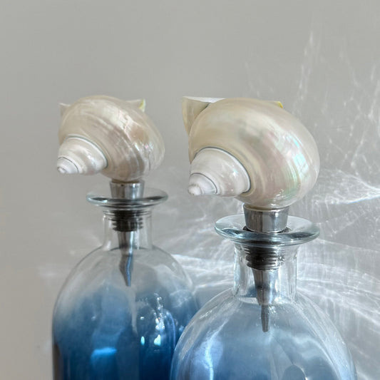 Seashell Bottle Stopper Set of 2