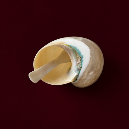 Seashell Sugar Bowl with Spoon