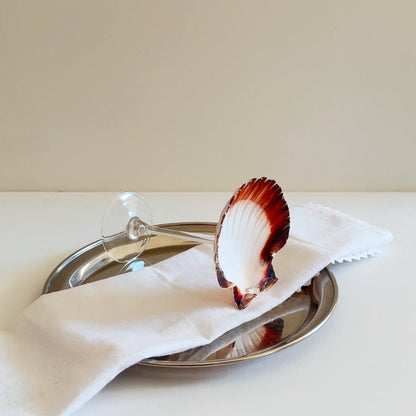 Martini Seashell Glasses