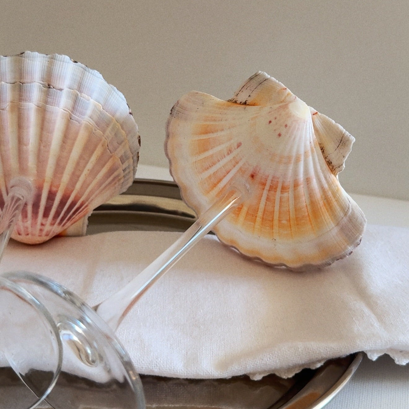 Martini Seashell Glasses