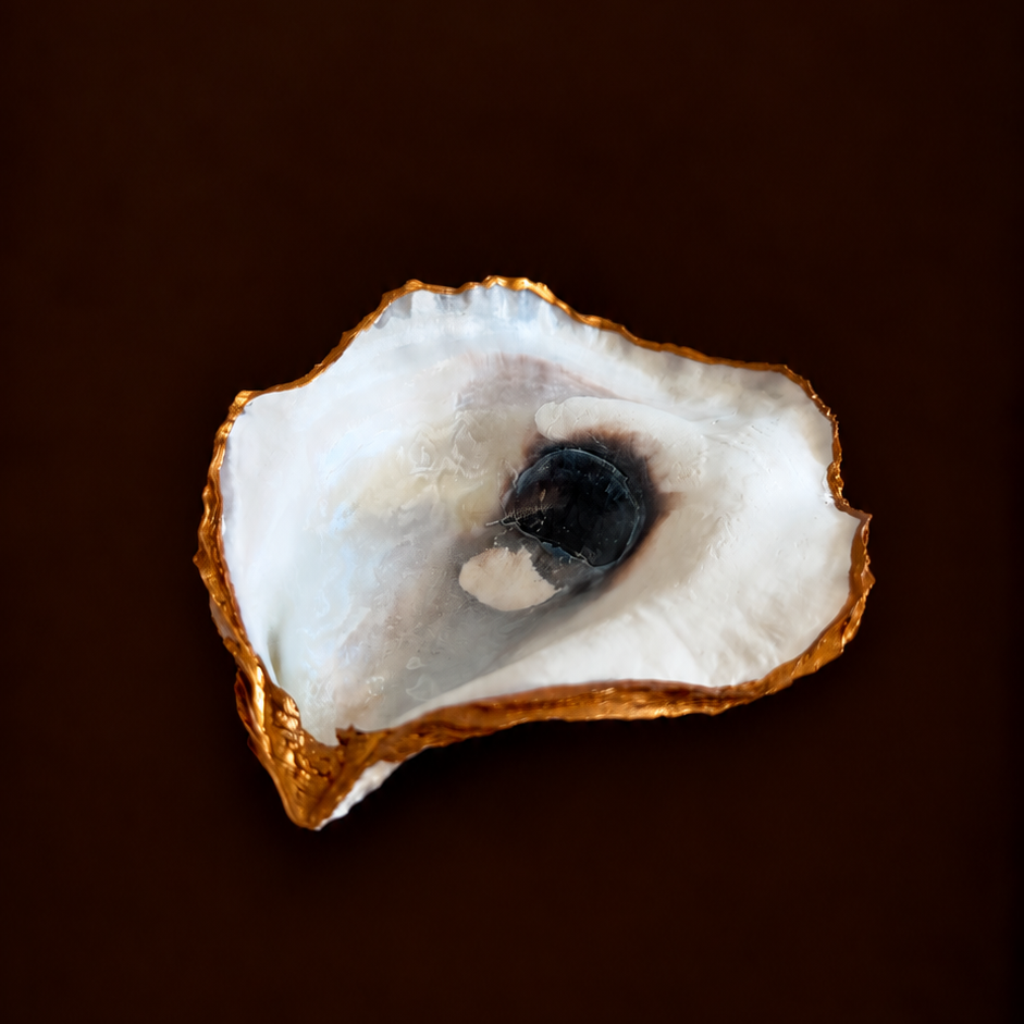 Oyster Shell Trinket Tray
