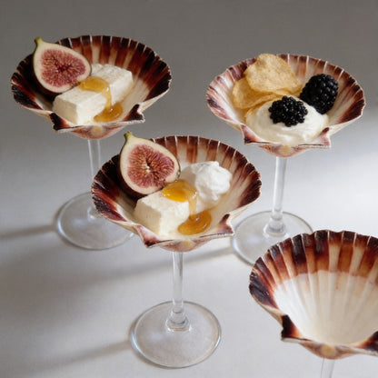 Martini Seashell Glasses