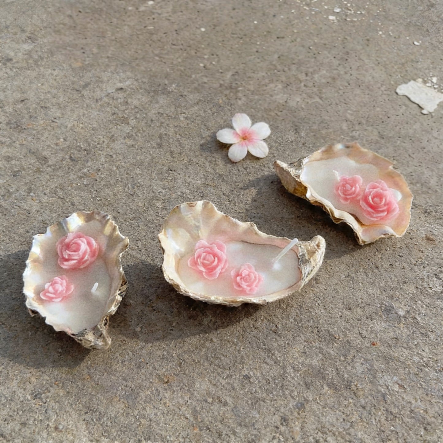 Oyster Shell Candles with Roses