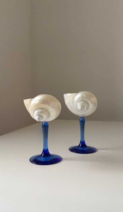 Seashell Cocktail Glasses - Limited Edition