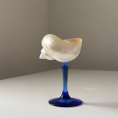 Seashell Cocktail Glasses - Limited Edition