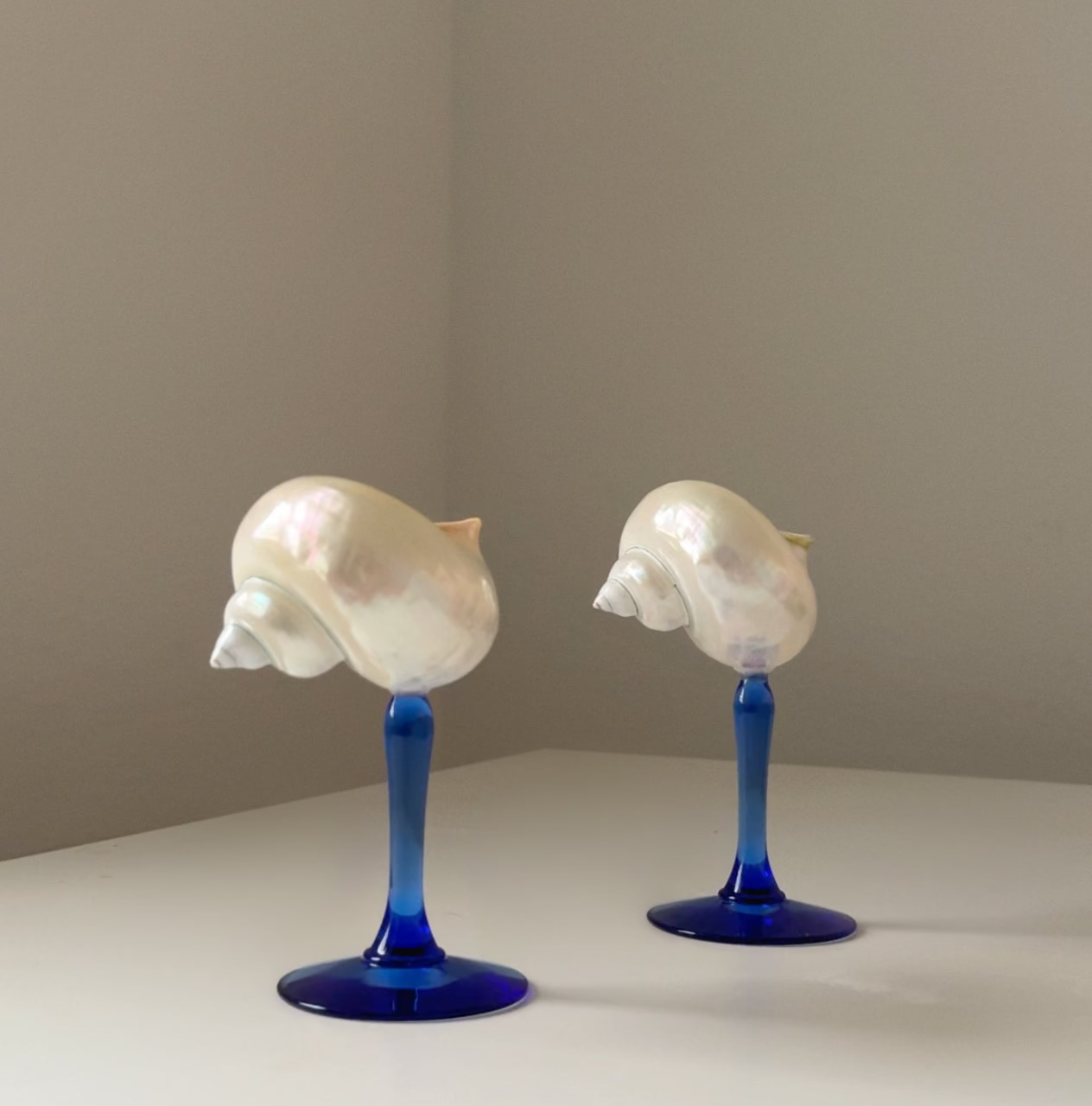 Seashell Cocktail Glasses - Limited Edition