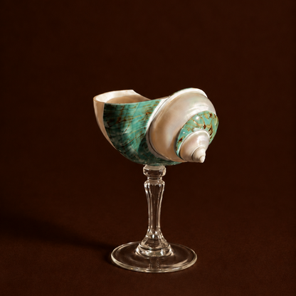 Green Turban Shell Coupe on Crystal Stem