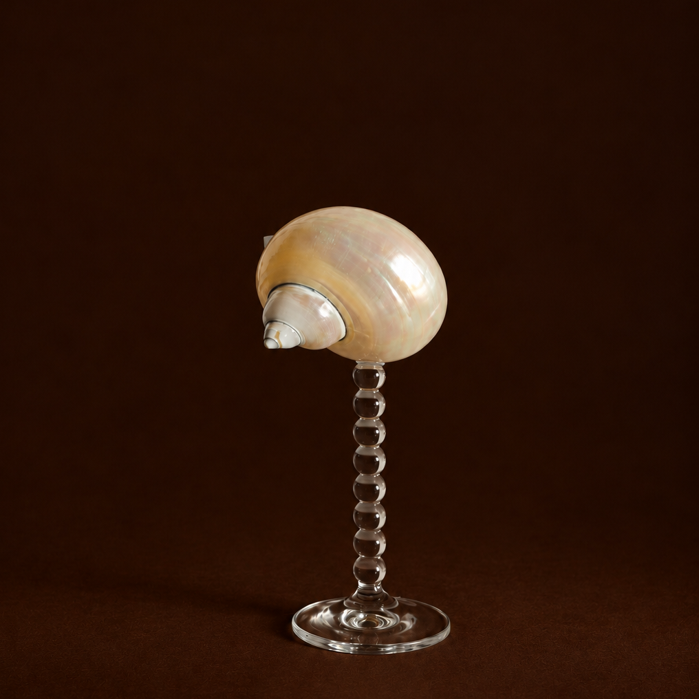 Seashell Bubble Stem Glass
