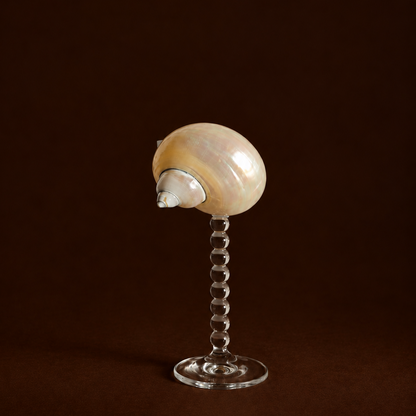 Seashell Bubble Stem Glass