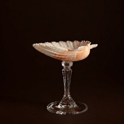 Crystal Stem Scallop Shell Dish
