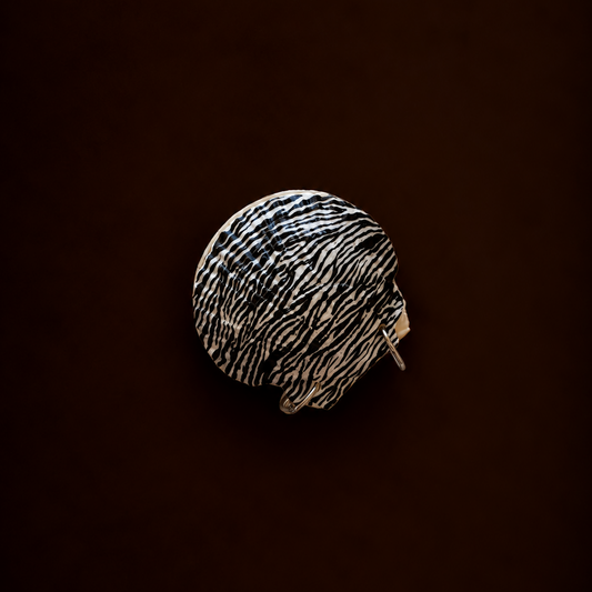 Zebra Scallop Shell Notebook