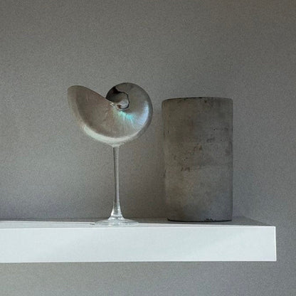 Nautilus Shell Cocktail Glass