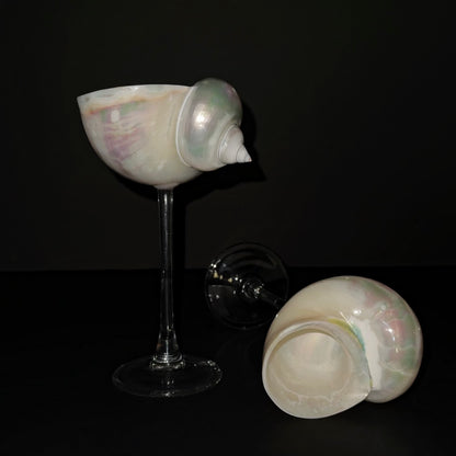 Seashell Wine Glasses - Coastal Barware