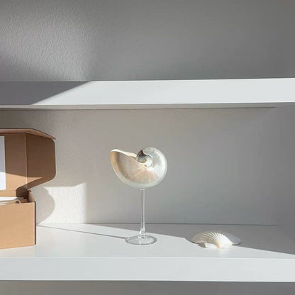 Nautilus Shell Cocktail Glass