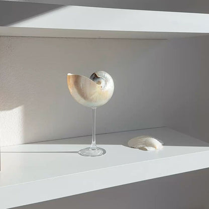 Nautilus Shell Cocktail Glass