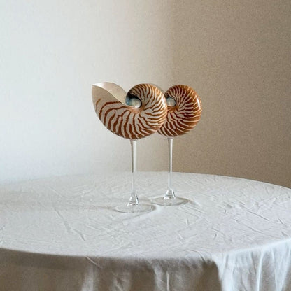 Nautilus Shell Cocktail Glass