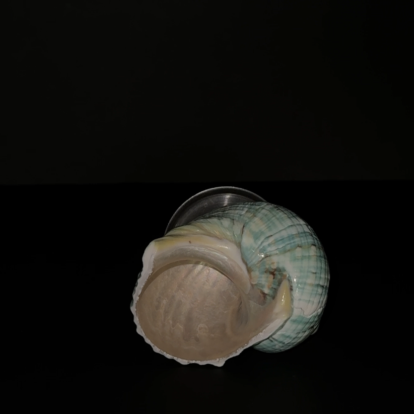 Turbo Shell Vessel