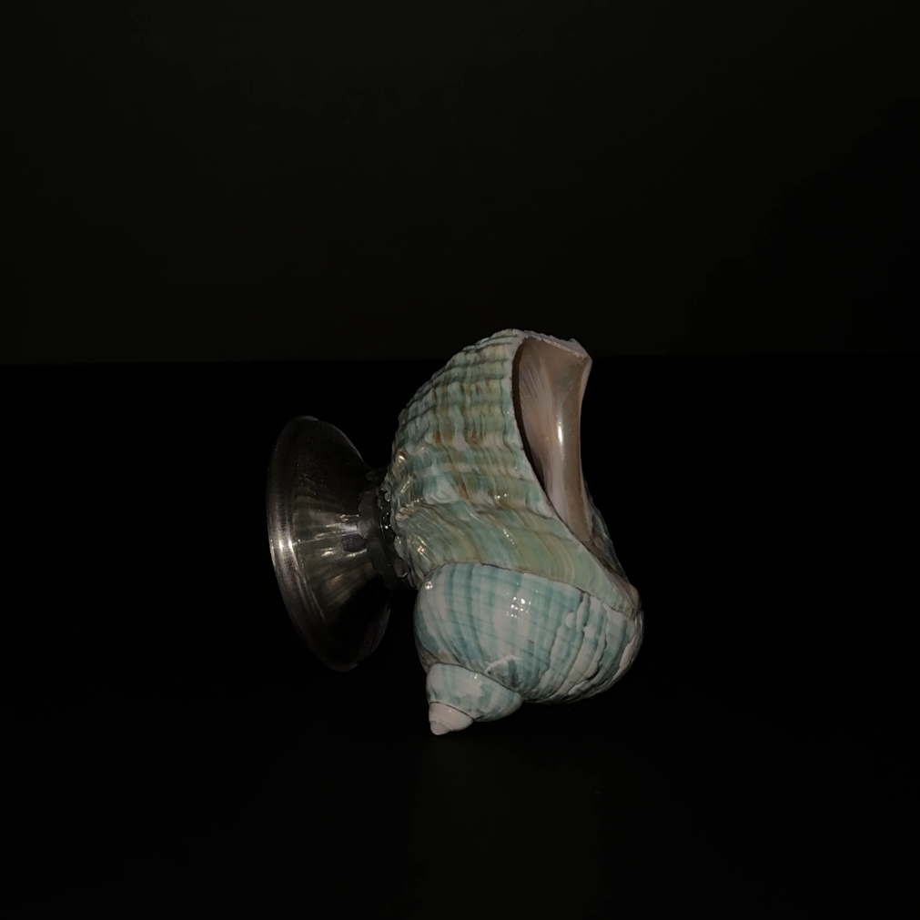 Turbo Shell Vessel