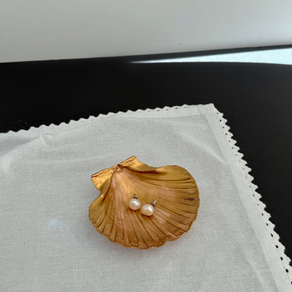 Seashell Jewelry Holder