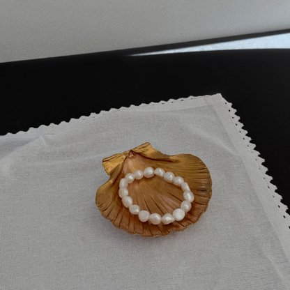 Seashell Jewelry Holder