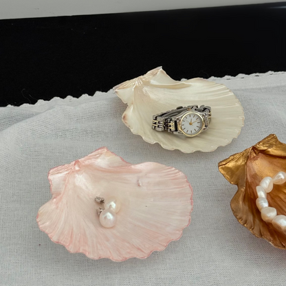 Scallop Shell Jewerly Dish